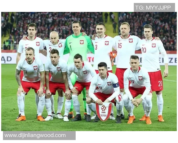 世界杯H组精彩对决波兰与哥伦比亚谁能赢得关键战役